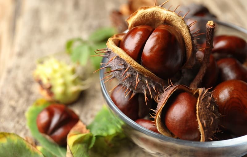 Frutta e verdura di stagione - ottobre